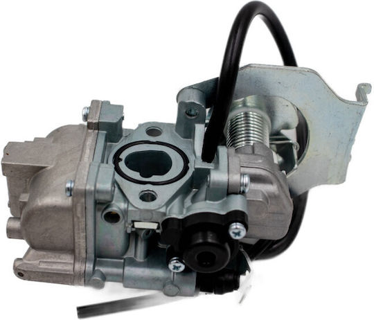 Καρμπυρατερ Yamaha Crypton-t110