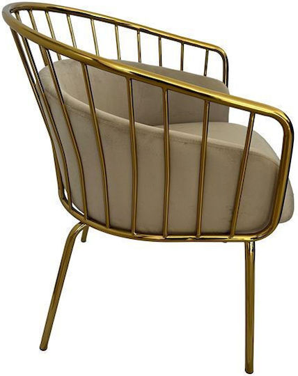King Stühle Speisesaal Beige 1Stück 60x56x79cm