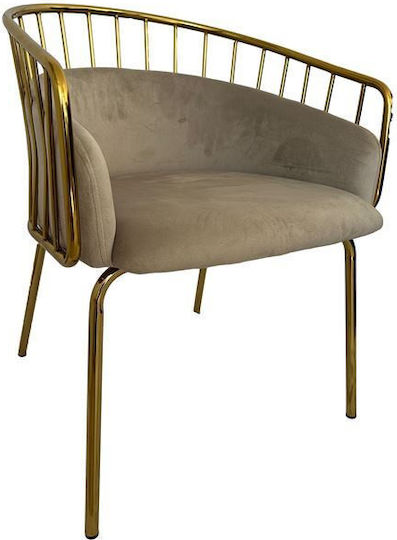 King Stühle Speisesaal Beige 1Stück 60x56x79cm