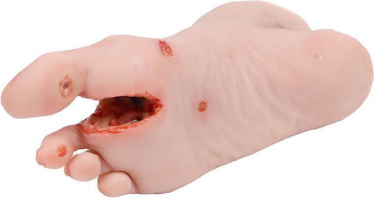 Training Manikin "Diabetic Foot Actinic Resection" Erler Zimmer