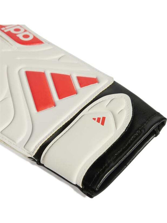 adidas Copa Gl Clb Kids & Adults Goalkeeper Gloves White