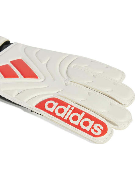 adidas Copa Gl Clb Kids & Adults Goalkeeper Gloves White