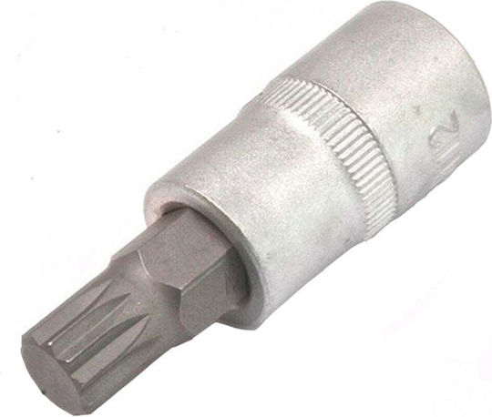 1/2" Kurze Vielzahn Xzn M12 Stecknuss