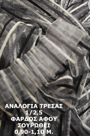 Decotelia Κουρτίνα με Τρέσα Μαύρη 260x237εκ.