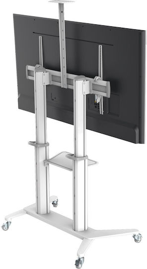 Techly ICA-TR49W ICA-TR49W Стойка за телевизор Подов до 120" и 140кг