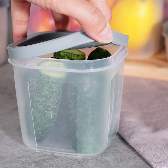 Vilde 10 Food Containers Lids & Airtight Closure Bpa-free Various Sizes 175ml Up to 3500ml Set 10 Transparent