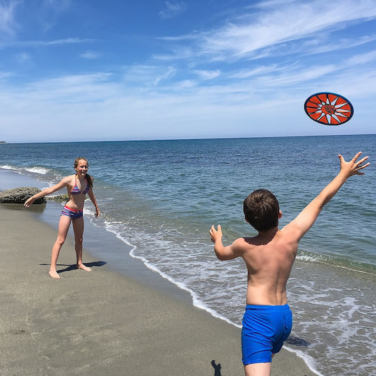 Schildkrot Παιχνίδι Εξωτερικού Χώρου Frisbee