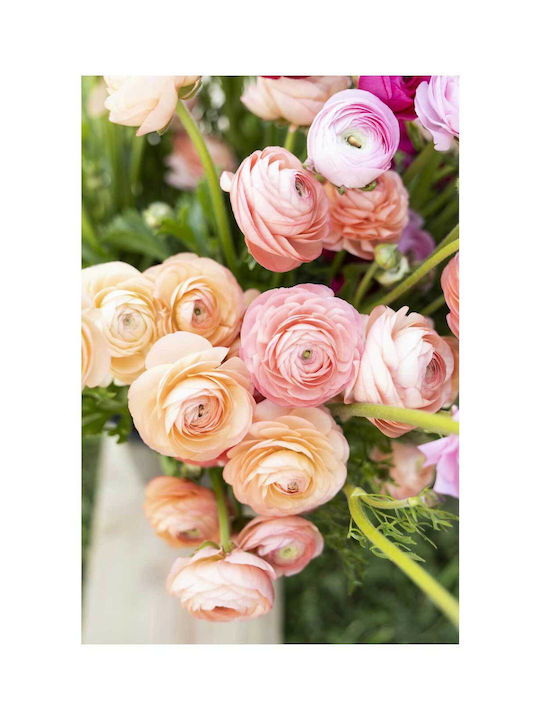 Πίνακας Beautiful Blooming Flowers Όμορφα Ανθισμένα Λουλούδια 100x150
