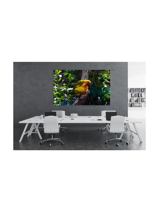 Πίνακας Pair Colorful Parrots Ζευγάρι Πολύχρωμοι Παπαγάλοι 150x100