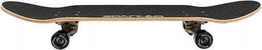 Spartan Komplett Kurzboard Mehrfarbig