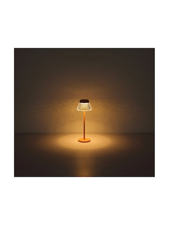 Globo Lighting Decorative Lamp Transparent