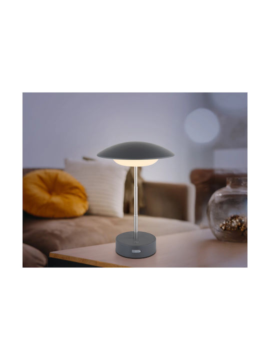 Globo Lighting Dekorative Lampe Gray