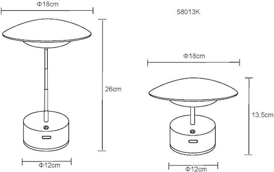 Globo Lighting Decorative LED Light Warm White 3000K 26 cm