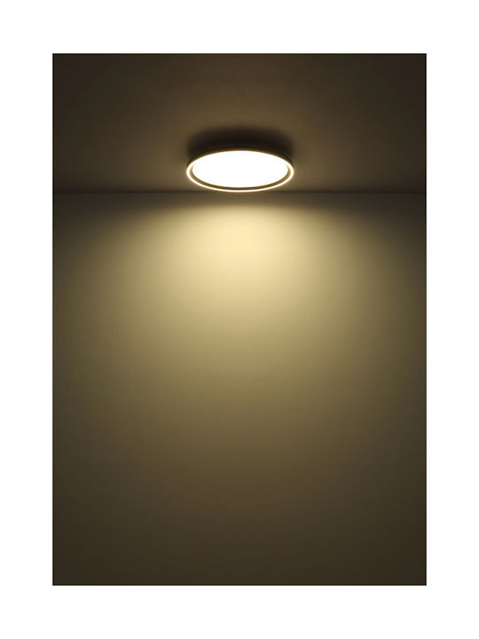 Globo Lighting Πλαφονιέρα Οροφής Μπρούτζινη