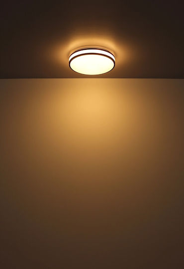 Globo Lighting Ceiling Mount Light Brown