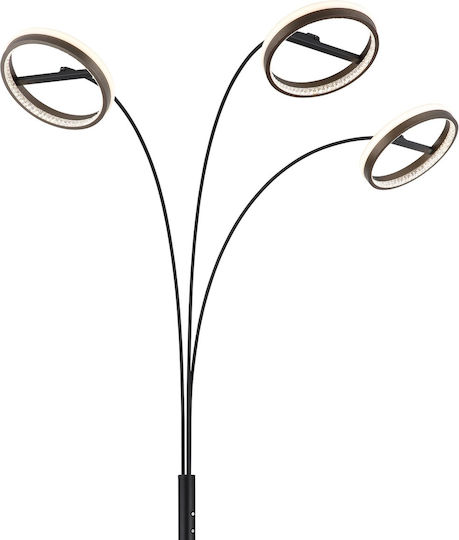 Globo Lighting Lampa de podea Gri