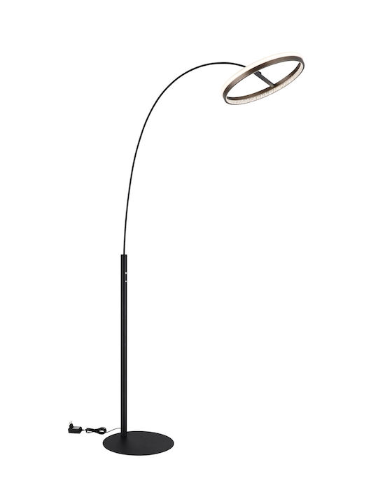 Globo Lighting Lampa de podea Gri