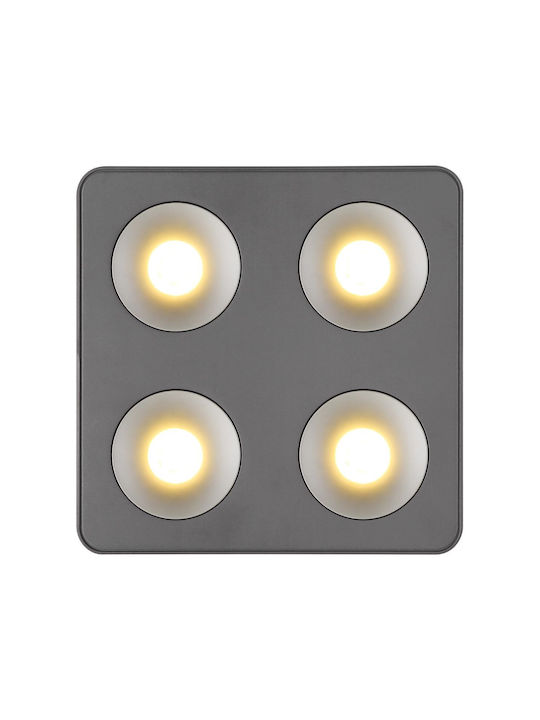 Globo Lighting LED Warm White Spot with 4 Lights in Gray Color