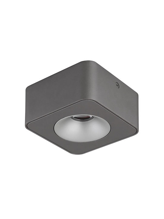 Globo Lighting Единично LED Топло бяло Спот в Сив Цвят