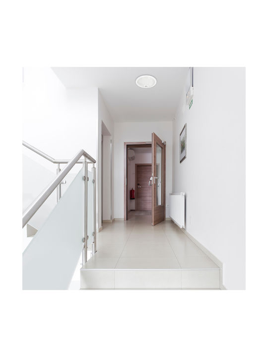 Eko Light Deckenleuchte mit Fassung E27