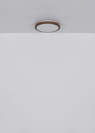 Globo Lighting Πλαφονιέρα Οροφής Καφέ