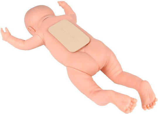 Erler Zimmer Manechin de antrenament medical