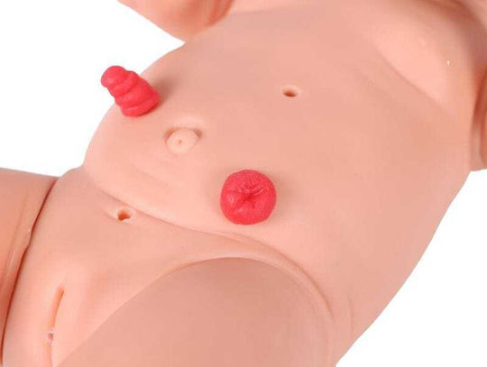 Erler Zimmer Manechin de antrenament medical
