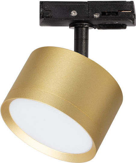 Eko Light Μονό Σποτ με Ντουί GX53 σε Χρυσό Χρώμα