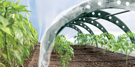 Prosperplast IFLT1-G851 Greenhouse Tunnel 2.4x0.57x0.3m