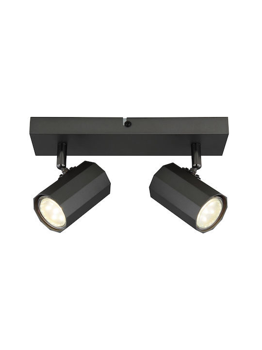 Globo Lighting Doppel Spot in Gray Farbe
