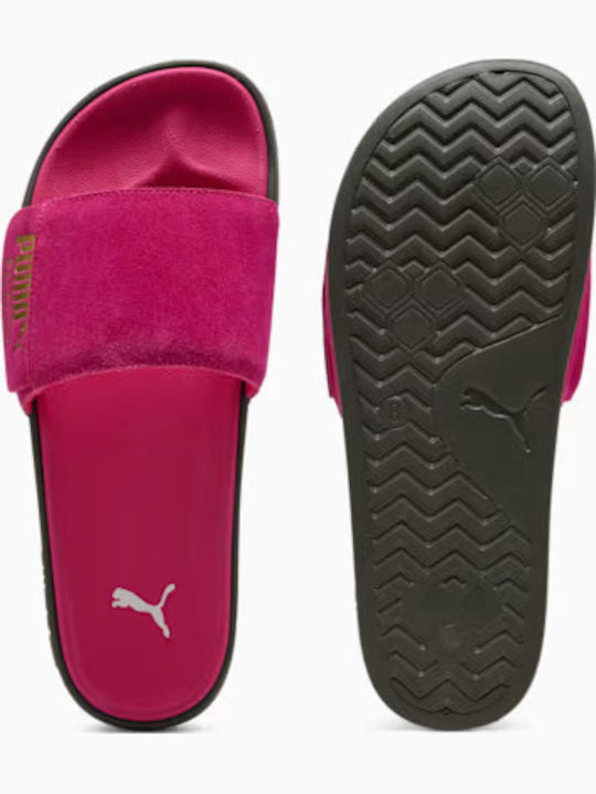 PUMA