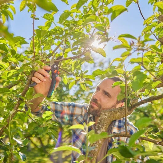 Gardena Premiumcut Pro Ψαλίδι Κλαδέματος με Μέγιστη Διάμετρο Κοπής 24mm