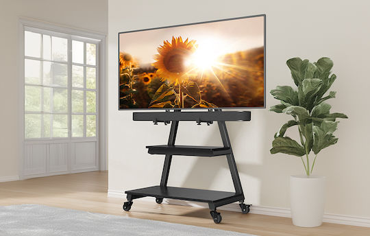 Perlegear 069342 Βάση Τηλεόρασης Δαπέδου έως 80"
