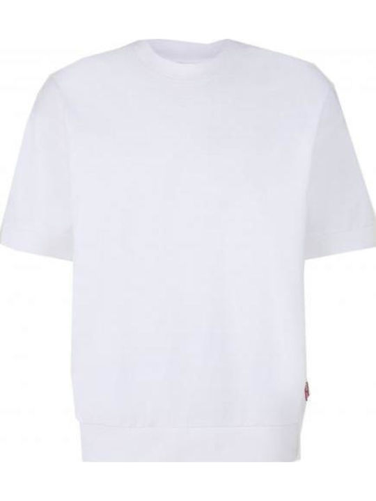 Dino T-shirt White