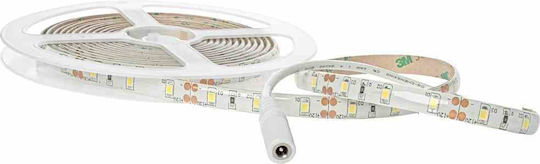 Eko Light LED-Streifen 12V Natürliches Weiß Licht 3m mit Bewegungssensor & Netzteil