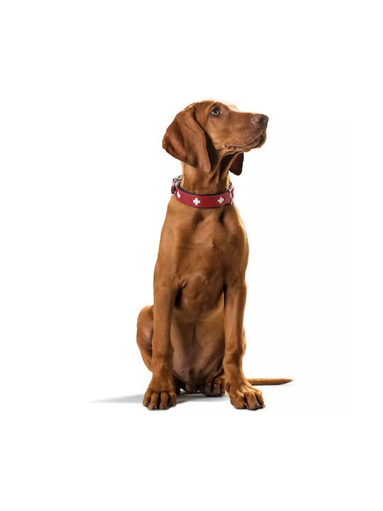 Zgarda din piele Hunter Swiss 60 M-L Negru Hunter