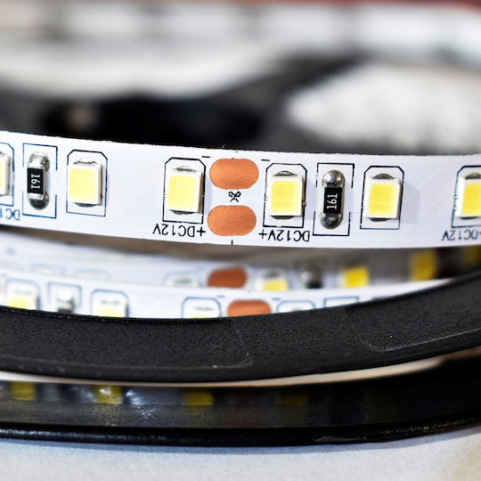 Eko Light LED-Streifen 5m