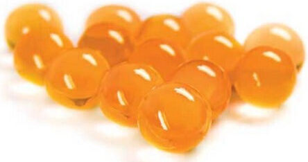 Hobby Aqua Vitamin D3 Pearls Insect Arachnid Insect Feed 170 G Hobby 4011444380623
