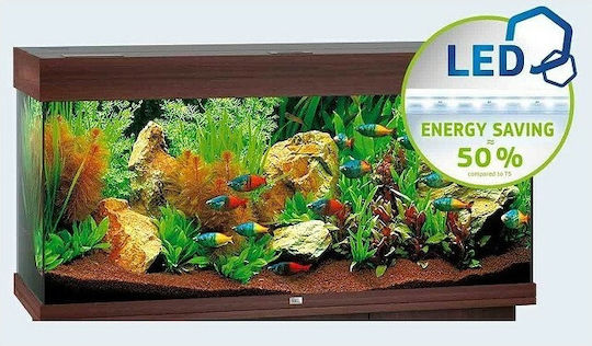 Juwel Rio 180 Led Ενυδρείο Ψαριών Χωρητικότητας 180lt με Θερμαντήρα, Φίλτρο, 101x41x50εκ. Καφέ