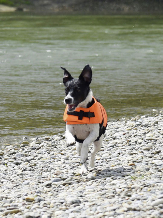 Kerbl Dog Life Jacket Waterproof 65x80-100cm