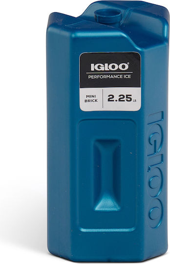 Igloo Mini Ice Brick 1020gr 41046