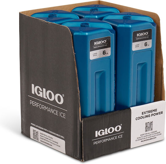 Igloo Ice Pack