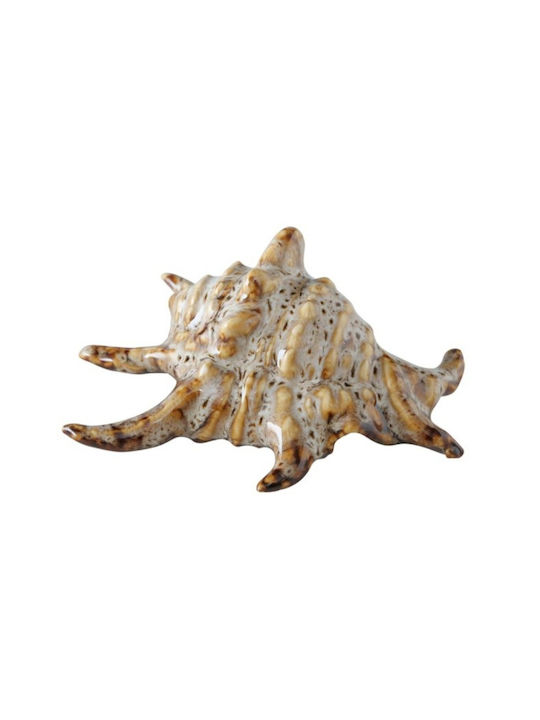 Shells Διακοσμητικά Κοχύλια Πορσελάνης 4 Τμχ