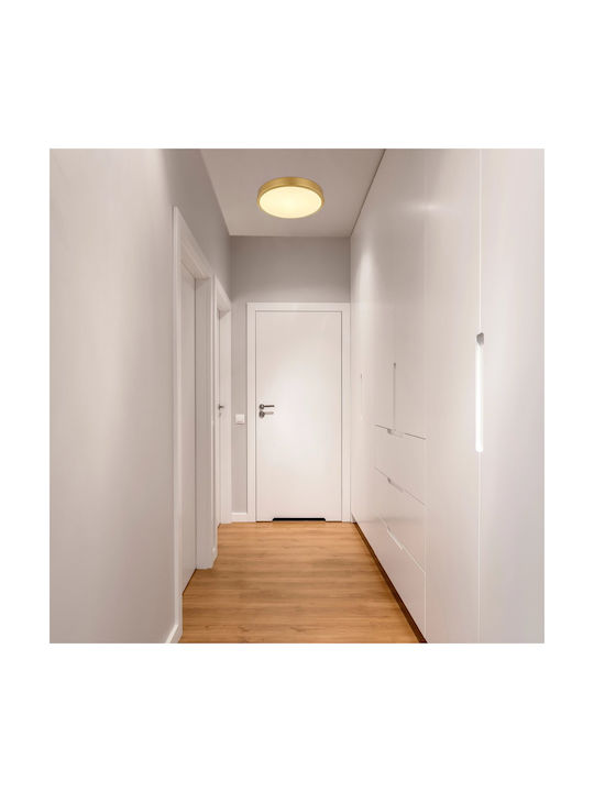 Globo Lighting Πλαφονιέρα Οροφής 25εκ. Μπρούτζινη με Ενσωματωμένο LED