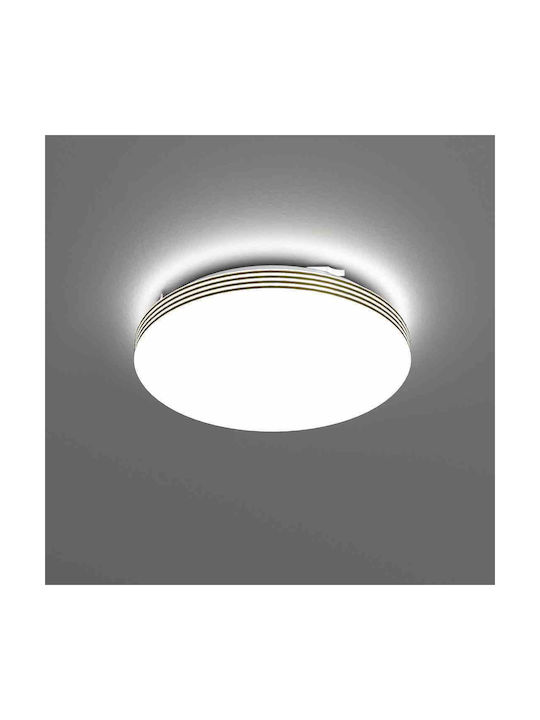 Eko Light Ceiling Mount Light Bathroom 26cm Gold with Integrated LED