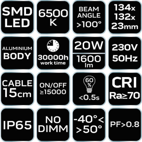 Neo Tools Rezistent la apă Proiector LED 20W Alb Rece 6500K IP65