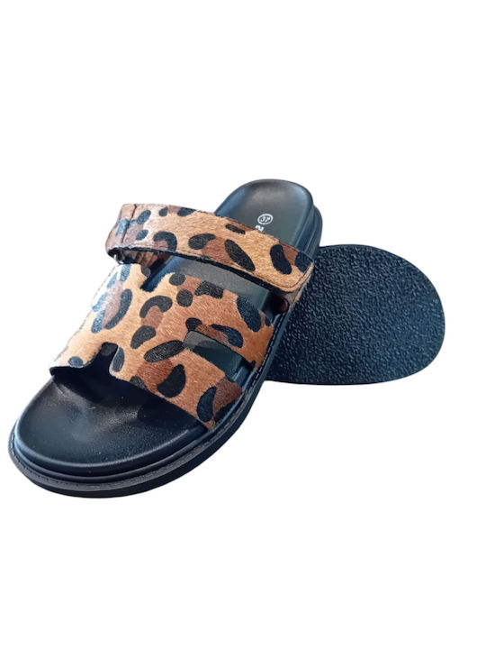 Adam's Shoes