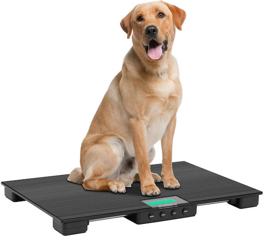 Steinberg Systems Elektronisch Balkenwaage mit einer Wiegekapazität von 30kg und einer Unterteilung von 10gr