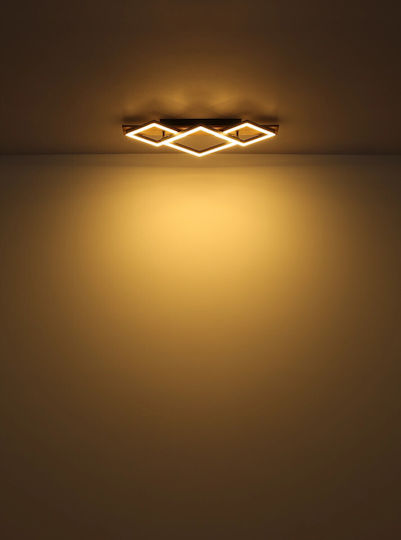 Globo Lighting Παραλληλόγραμμο Εξωτερικό LED Panel 24W με Θερμό Λευκό Φως 3000K 61x31εκ.