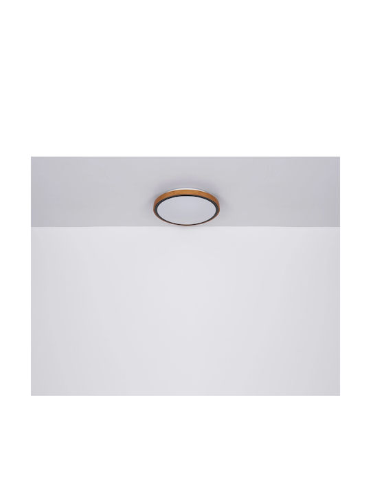 Globo Lighting Кръгла На открито LED Панел 12W с Студено бяло Светлина 6000К 30.9см.